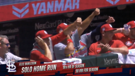 St. Louis Cardinals celebrate Alec Burleson's home run